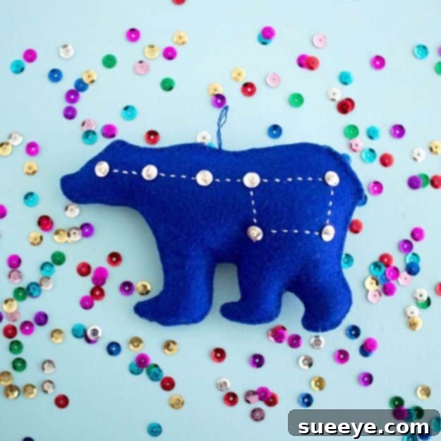DIY Sequin Embroidery Sparkling DIY Sequin Embroidery Tutorial