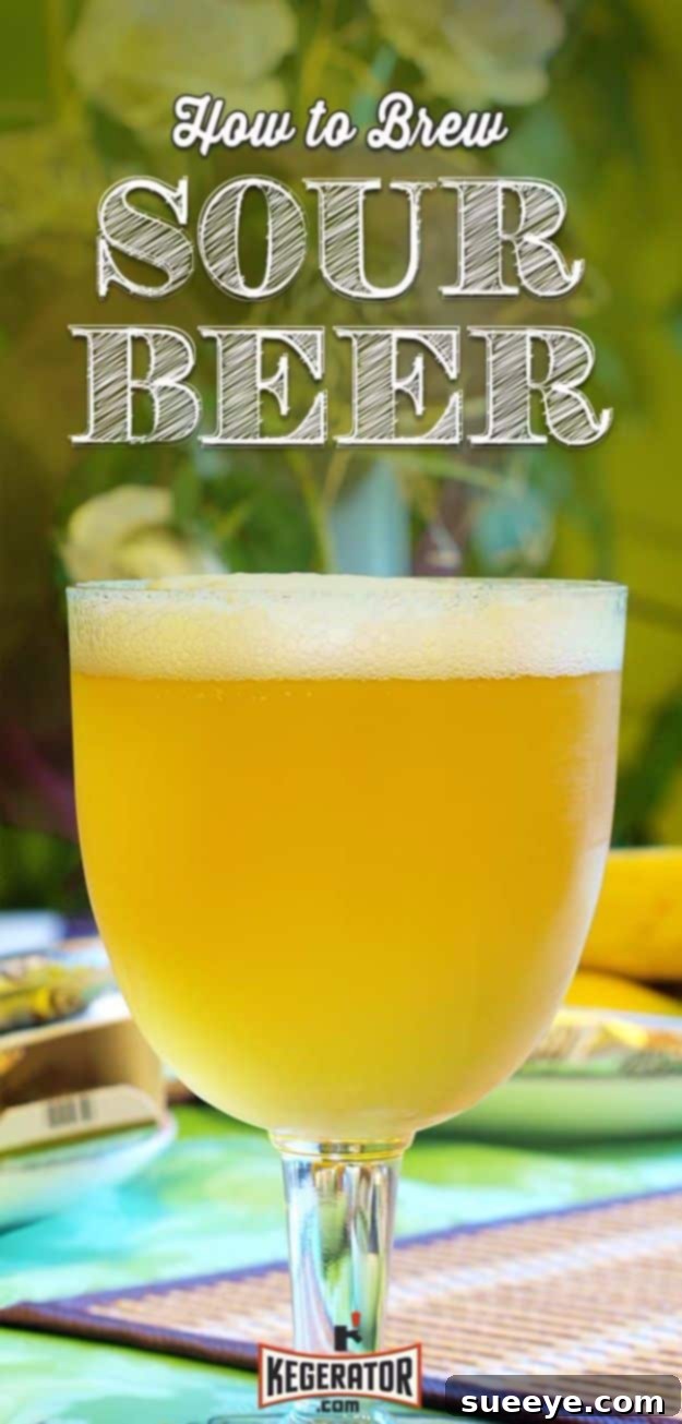 Homemade Sour Beer Recipe Homemade Sour Beer - A glass of vibrant sour beer with a foamy head.