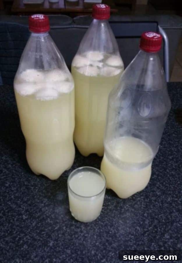Pineapple Beer Recipe Pineapple Beer - A tropical glass of beer infused with pineapple.