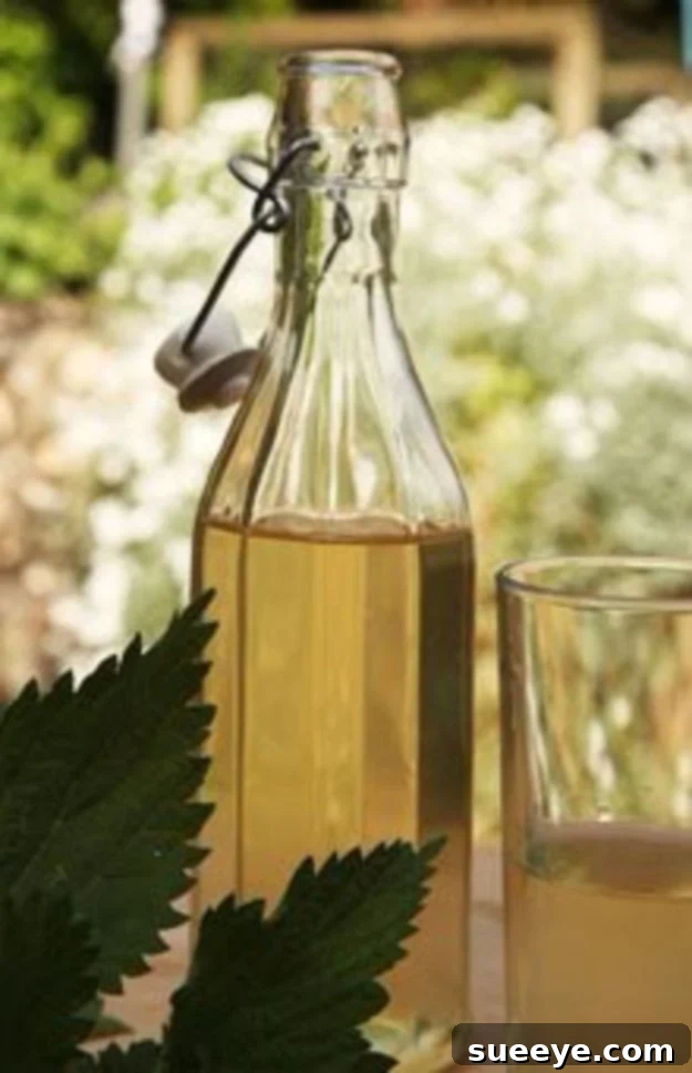Nettle Beer Recipe Nettle Beer - A glass of earthy, green-tinted nettle beer.