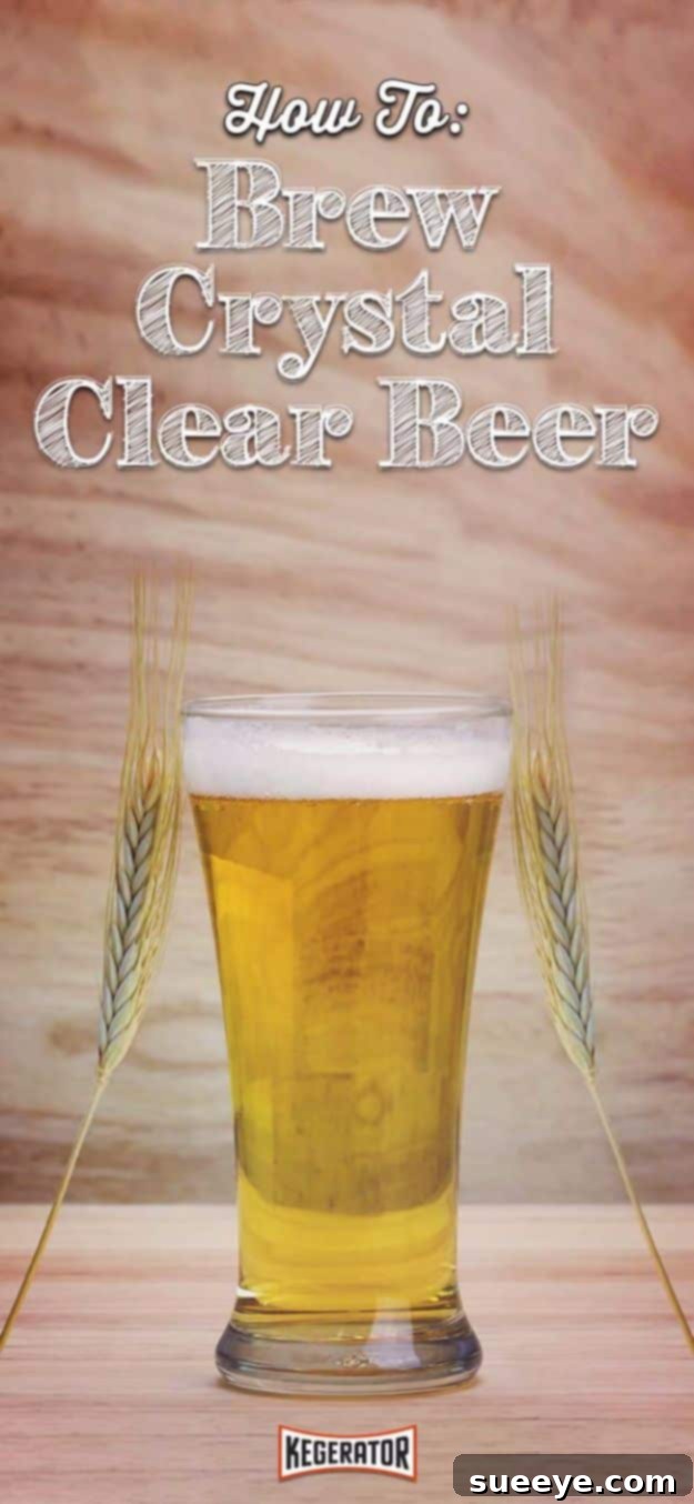 Homemade Crystal Clear Beer Guide Homemade Crystal Clear Beer - A perfectly transparent glass of homebrewed beer.