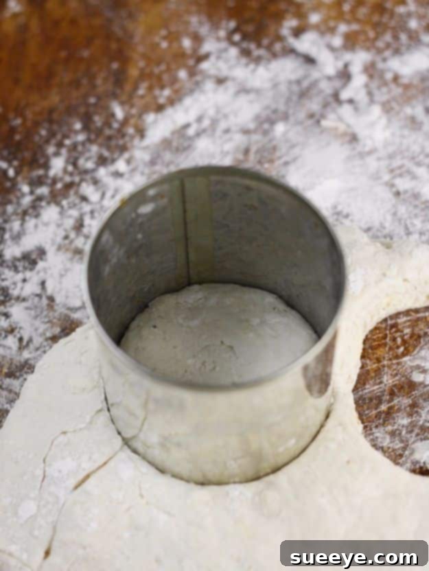 Make your own Tin Can Biscuit Cutter for perfectly shaped homemade biscuits. DIY Tin Can Biscuit Cutter for home baking enthusiasts