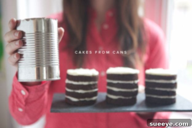 Bake and present charming Tin Can Mini Cakes for a delightful and personalized dessert experience. Tin Can Mini Cakes for unique individual dessert presentation