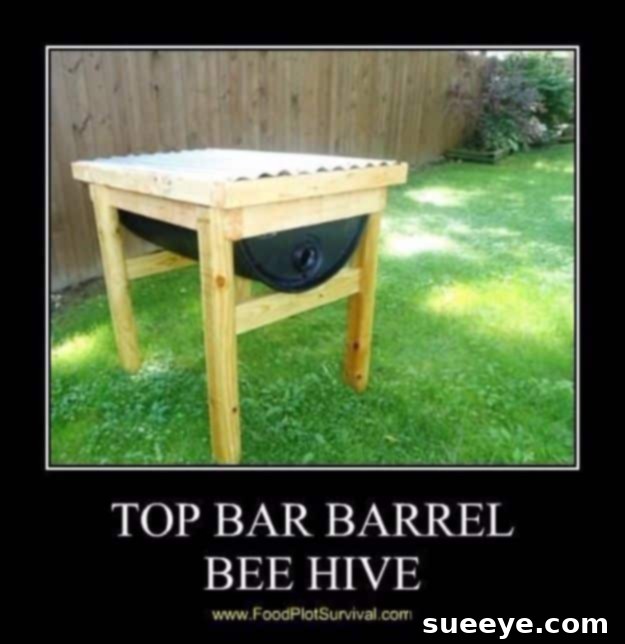 DIY Top Bar Barrel Bee Hive - Beekeeping Project DIY Top Bar Barrel Bee Hive - Beekeeping Project