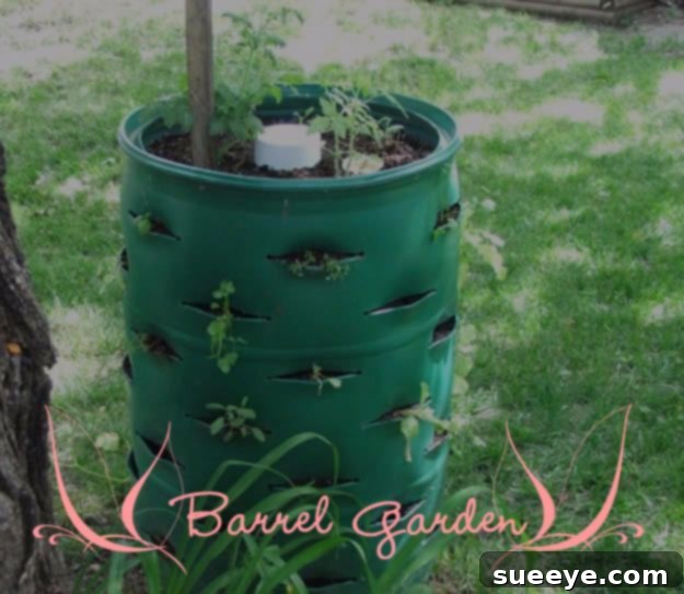 DIY Barrel Garden Planters - Rustic Container Gardening DIY Barrel Garden Planters - Rustic Container Gardening