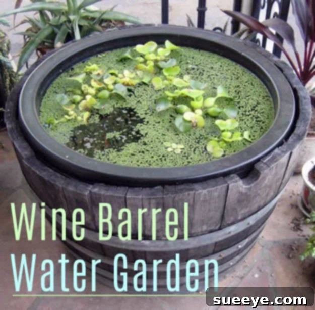 DIY Wine Barrel Water Garden - Outdoor Patio & Garden Feature DIY Wine Barrel Water Garden - Outdoor Patio & Garden Feature