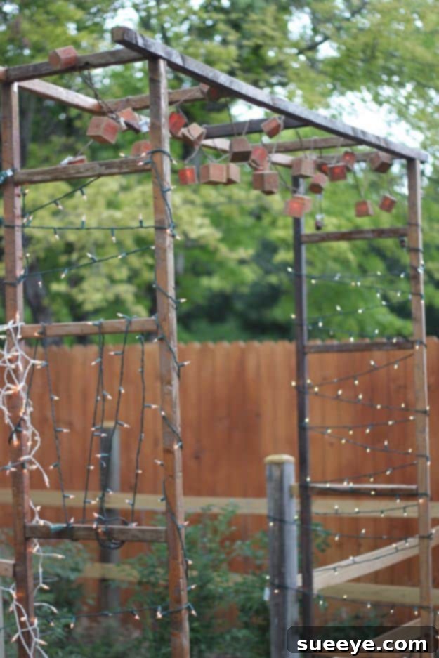 Garden Gate with Integrated Lighting - Rustic Charm DIY Lighted Ladder Gate for Garden Entryway