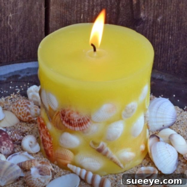 Elegant designer seashell candles, perfect for sophisticated coastal-themed decor.