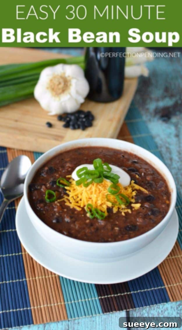 30 Minute Black Bean Soup Recipe Quick and Easy 30 Minute Black Bean Soup