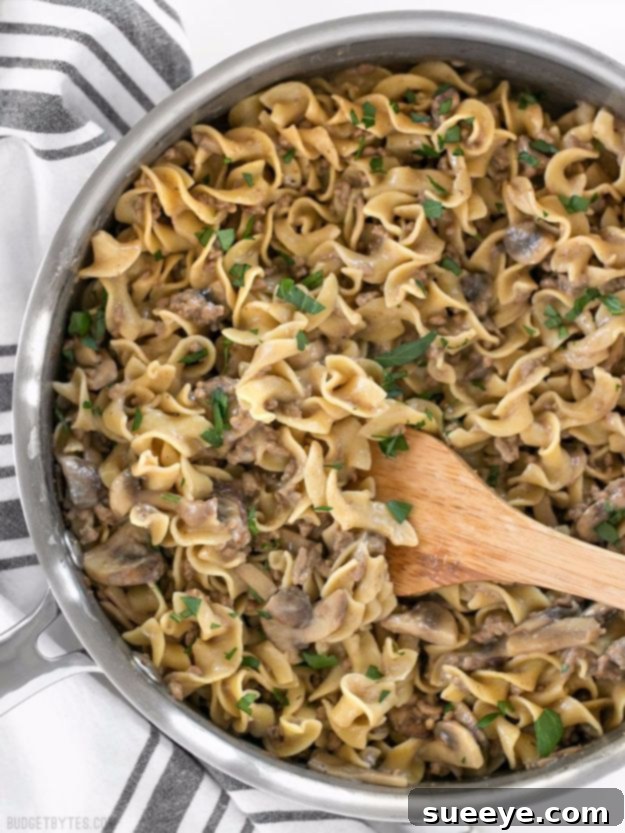 One Pot Beef and Mushroom Stroganoff Recipe One Pot Beef and Mushroom Stroganoff