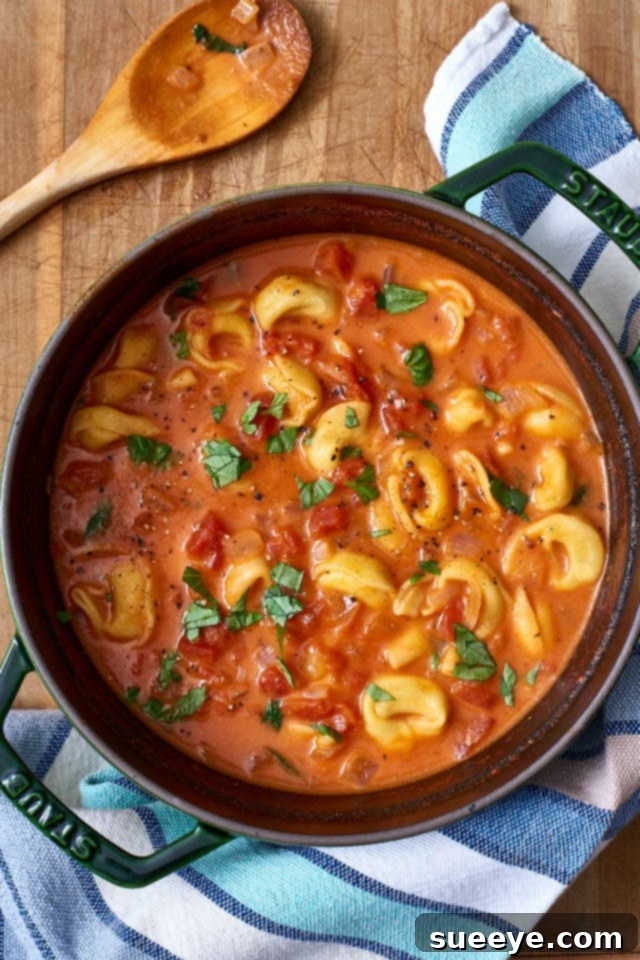 Tomato Tortellini Soup Recipe Hearty Tomato Tortellini Soup
