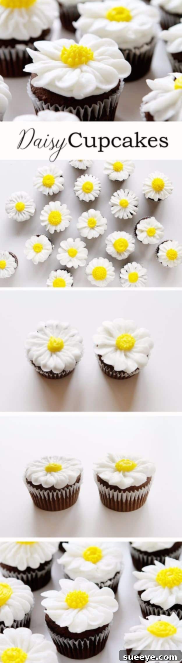Elegant Buttercream Daisy Cupcakes - Easy Floral Decorating Simple Guide to Pipe a Beautiful Buttercream Daisy Cupcake