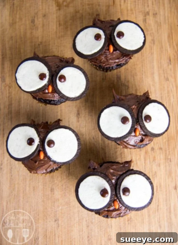 Adorable Owl Cupcakes - Easy to Decorate for Forest Themes Wise and Cute Owl Cupcakes with Oreo Eyes