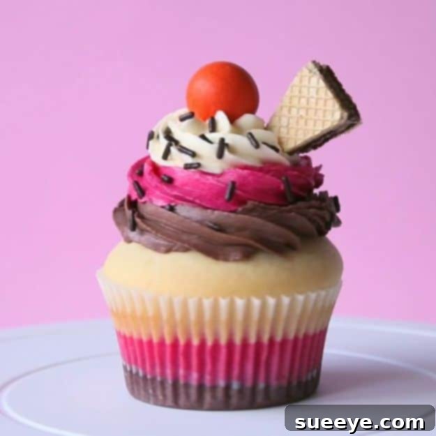 Delicious Neapolitan Cupcakes - Three Flavors in One Treat Classic Neapolitan Cupcakes with Swirled Chocolate, Vanilla, Strawberry Frosting