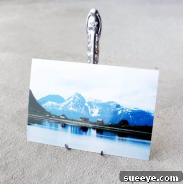 DIY Silverware Upgrades - DIY Fork Photo Display - Creative Ways To Improve Boring Silver Ware and Palce Settings - Paint, Decorate and Update Your Flatware With These Creative Do IT Yourself Tutorials- Forks, Knives and Spoons all Get Dressed Up With These New Looks For Kitchen and Dining Room 