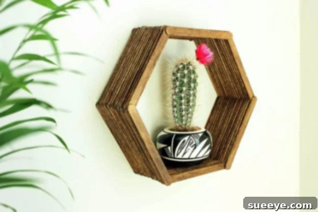 Rustic Chic DIY Wall Decor Projects 30 Popsicle Stick Hexagon Shadow Box