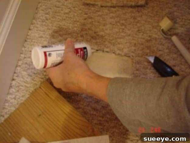 Easy Home Repair Hacks - Repair Carpet Holes and Tears - Quick Ways to Easily Fix Broken Things Around The House - DIY Tricks for Home Improvement and Repairs - Simple Solutions for Kitchen, Bath, Garage and Yard - Caulk, Grout, Wall Repair and Wood Patching and Staining #hacks #homeimprovement Easy Home Repair Hacks - Repair Carpet Holes and Tears - Quick Ways to Easily Fix Broken Things Around The House - DIY Tricks for Home Improvement and Repairs - Simple Solutions for Kitchen, Bath, Garage and Yard - Caulk, Grout, Wall Repair and Wood Patching and Staining #hacks #homeimprovement