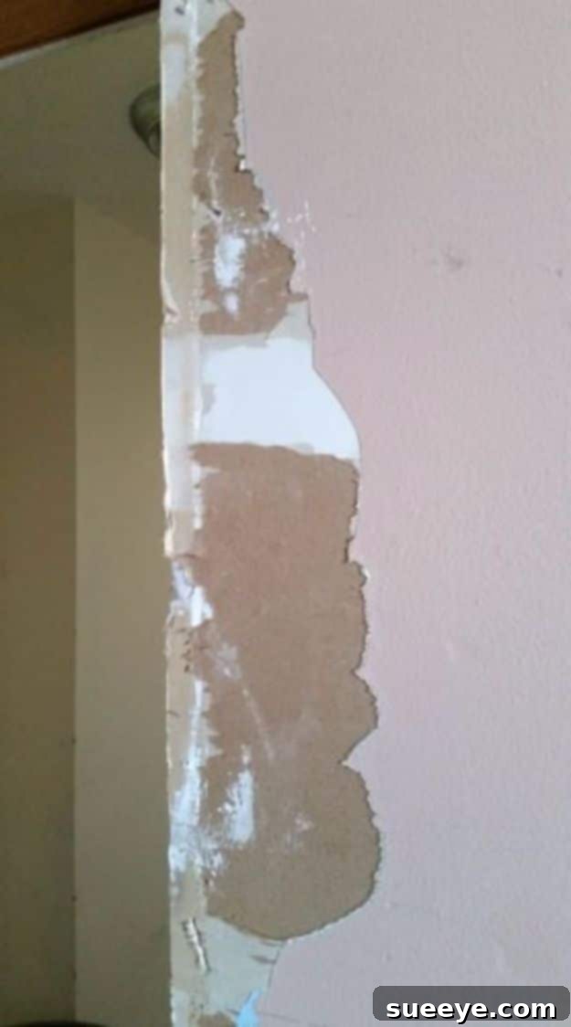 Easy Home Repair Hacks - Fix Torn Drywall Paper - Quick Ways to Easily Fix Broken Things Around The House - DIY Tricks for Home Improvement and Repairs - Simple Solutions for Kitchen, Bath, Garage and Yard - Caulk, Grout, Wall Repair and Wood Patching and Staining #hacks #homeimprovement Easy Home Repair Hacks - Fix Torn Drywall Paper - Quick Ways to Easily Fix Broken Things Around The House - DIY Tricks for Home Improvement and Repairs - Simple Solutions for Kitchen, Bath, Garage and Yard - Caulk, Grout, Wall Repair and Wood Patching and Staining #hacks #homeimprovement