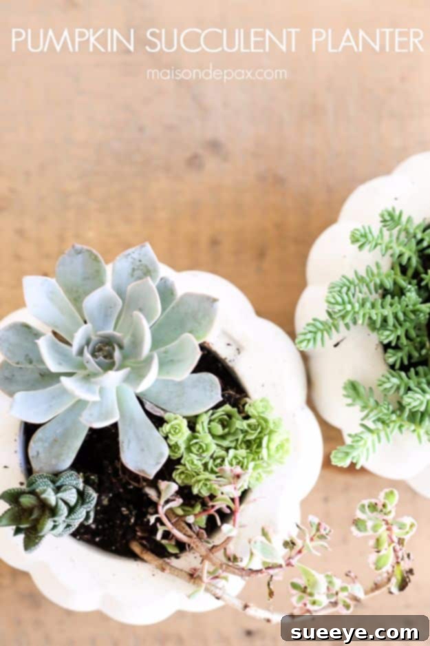 DIY Fall Succulent Planters Faux pumpkin succulent planter centerpiece with vibrant green succulents