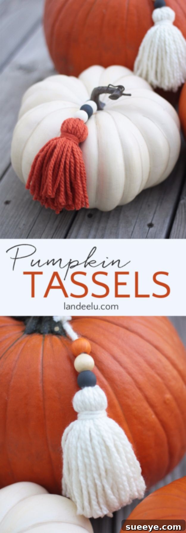 Pumpkin Yarn Tassels Pumpkins decorated with colorful yarn tassels and wooden beads