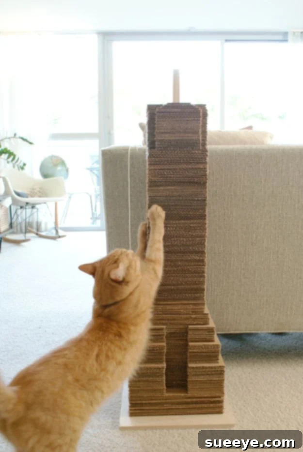 DIY Ideas With Cardboard - DIY Cat Scratching Post - How To Make Room Decor Crafts for Kids - Easy and Crafty Storage Ideas For Room - Toilet Paper Roll Projects Tutorials - Fun Furniture Ideas with Cardboard - Cheap, Quick and Easy Wall Decorations #diyideas #cardboardcrafts #crafts DIY Ideas With Cardboard - DIY Cat Scratching Post - How To Make Room Decor Crafts for Kids - Easy and Crafty Storage Ideas For Room - Toilet Paper Roll Projects Tutorials - Fun Furniture Ideas with Cardboard - Cheap, Quick and Easy Wall Decorations #diyideas #cardboardcrafts #crafts