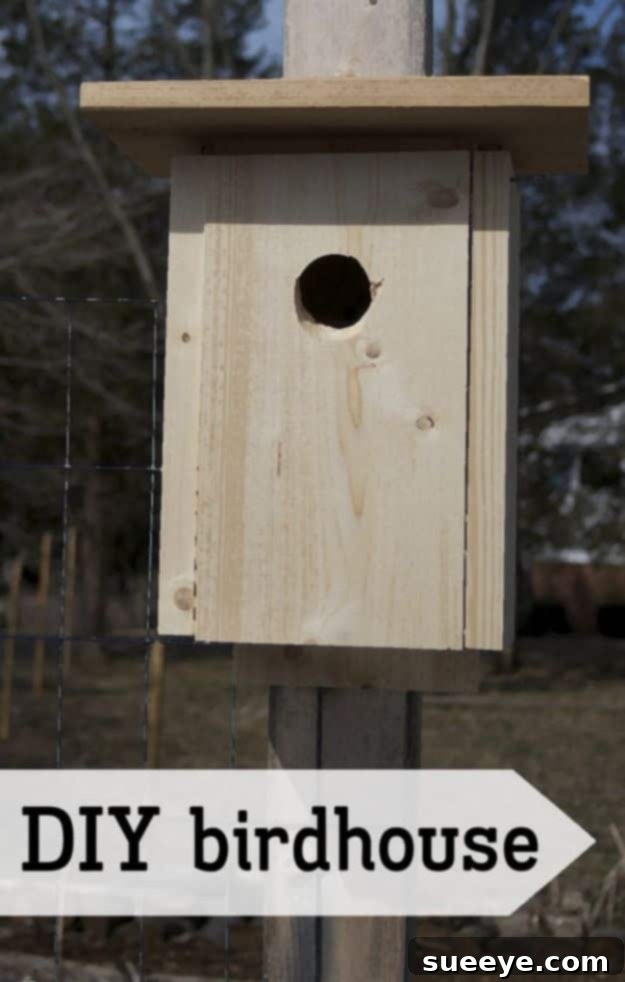 Easy DIY Birdhouse Plan Straightforward and simple DIY birdhouse