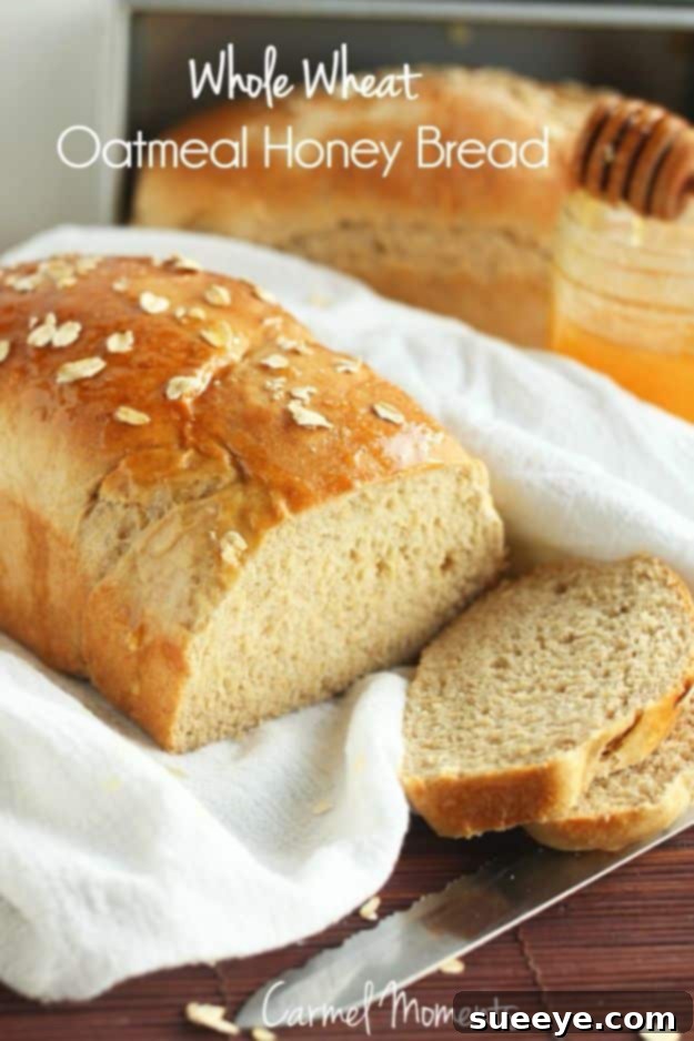 Wholesome Whole Wheat Oatmeal Honey Bread Recipe Hearty Whole Wheat Oatmeal Honey Bread loaf, perfect for sandwiches