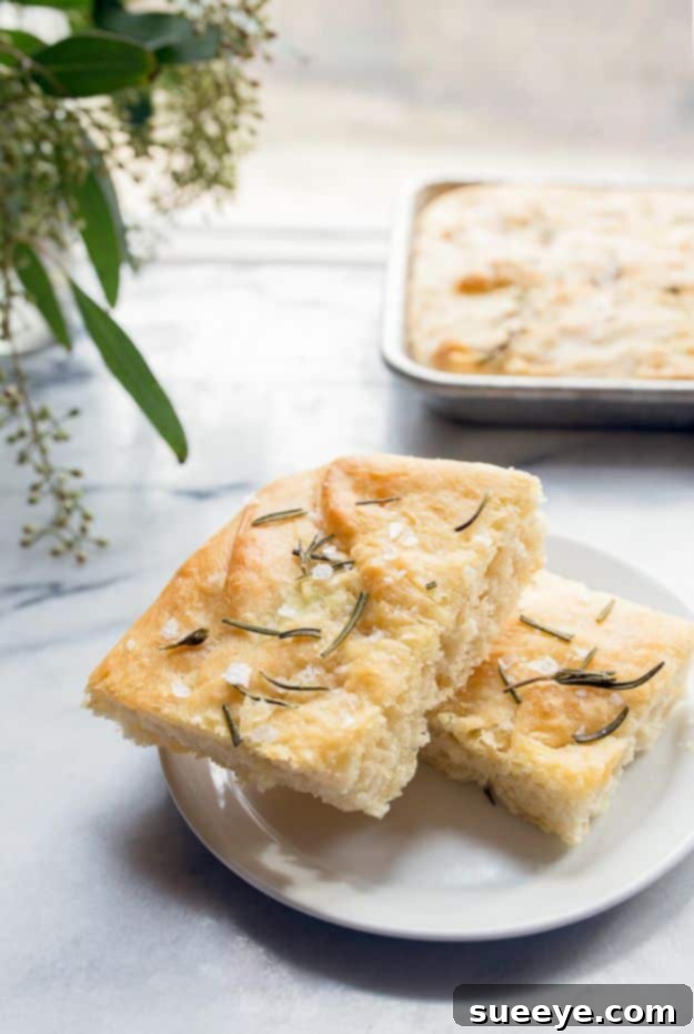 Perfect Small Batch Focaccia Recipe Individual serving of Small Batch Focaccia, topped with herbs