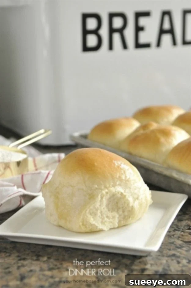 The Best Perfect Dinner Roll Recipe Basket of warm, fluffy Perfect Dinner Rolls