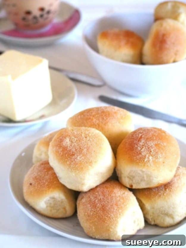 Authentic Pandesal Filipino Bread Rolls Golden-brown Pandesal Filipino Bread Rolls, dusted with breadcrumbs