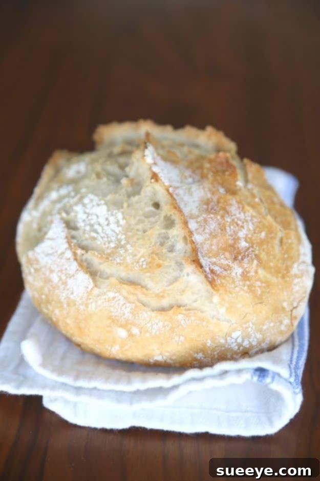 Easy Homemade Artisan Bread Recipe Crusty loaf of Homemade Artisan Bread with a beautiful open crumb