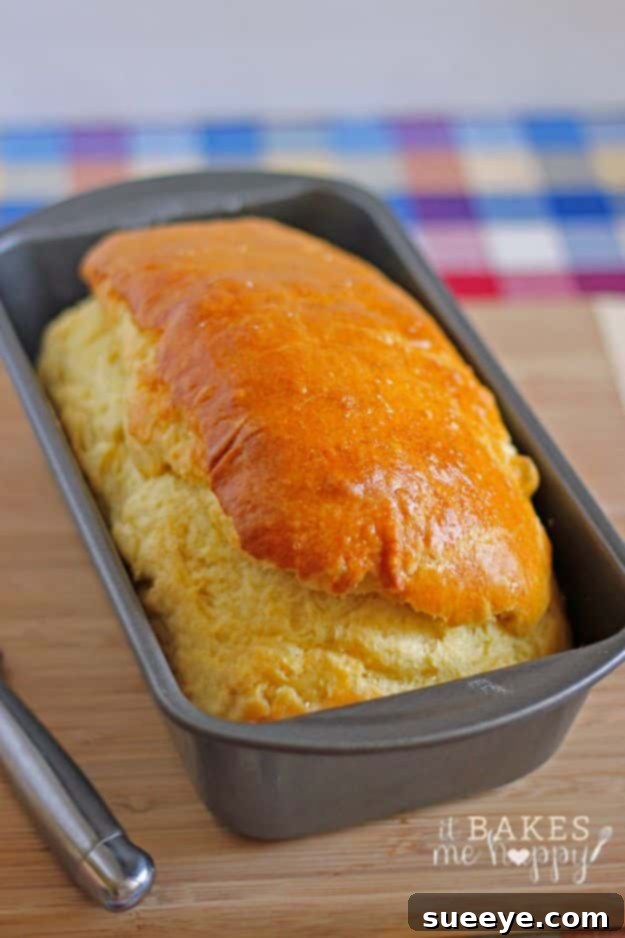Elegant French Brioche Bread Recipe Rich and golden French Brioche Bread loaf, beautifully baked