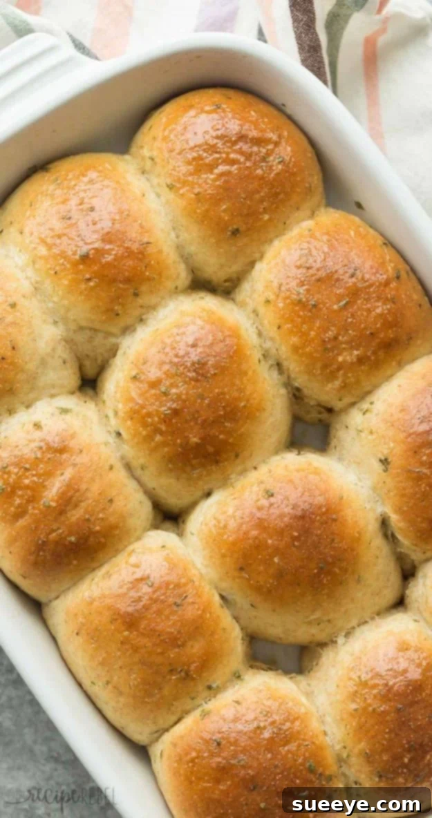 Flavorful Garlic Herb Dinner Rolls Recipe Golden-brown Homemade Garlic Herb Dinner Rolls, fresh from the oven