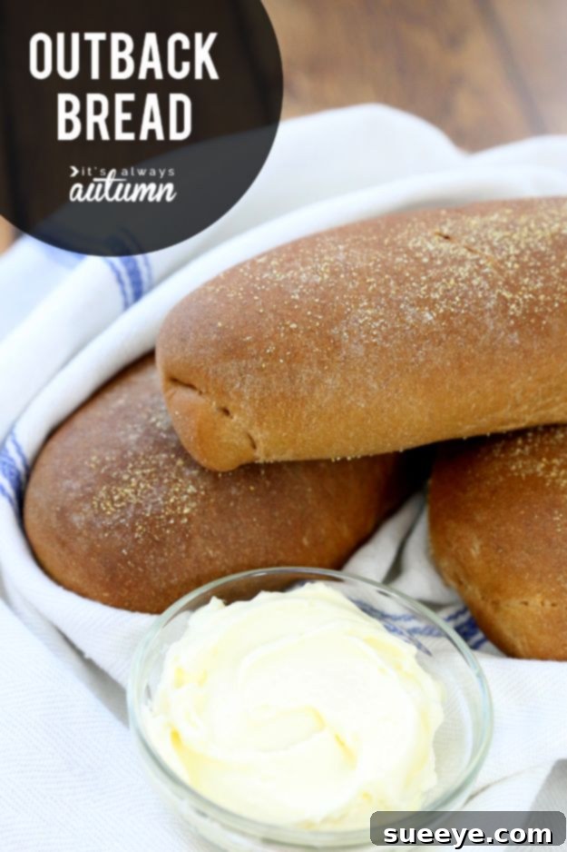 From Dough to Delicious: 50 Homemade Bread and Roll Recipes 5 Dark, sweet Outback Bread loaf, similar to steakhouse style