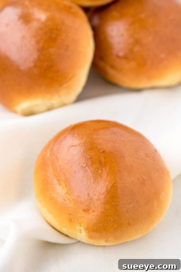 Easy Brioche Style Buns Recipe Light and airy Quick Brioche Style Buns, ideal for burgers or sandwiches