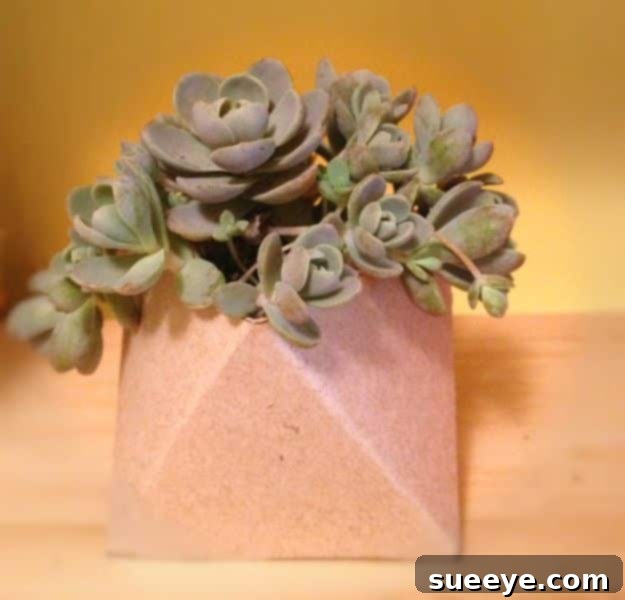 Geometric Succulent Planter Cereal Box Geometric Succulent Planter for modern decor