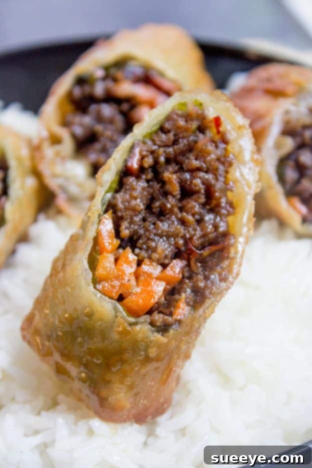 Best Recipes With Ground Beef - Korean Ground Beef Egg Rolls - Easy Dinners and Ground Beef Recipe Ideas - Quick Lunch Salads, Casseroles, Tacos, One Skillet Meals - Healthy Crockpot Foods With Hamburger Meat - Mexican Casserole, Instant Pot Carne Molida, Low Carb and Keto Diet - Rice, Pasta, Potatoes and Crescent Rolls Best Recipes With Ground Beef - Korean Ground Beef Egg Rolls - Easy Dinners and Ground Beef Recipe Ideas - Quick Lunch Salads, Casseroles, Tacos, One Skillet Meals - Healthy Crockpot Foods With Hamburger Meat - Mexican Casserole, Instant Pot Carne Molida, Low Carb and Keto Diet - Rice, Pasta, Potatoes and Crescent Rolls