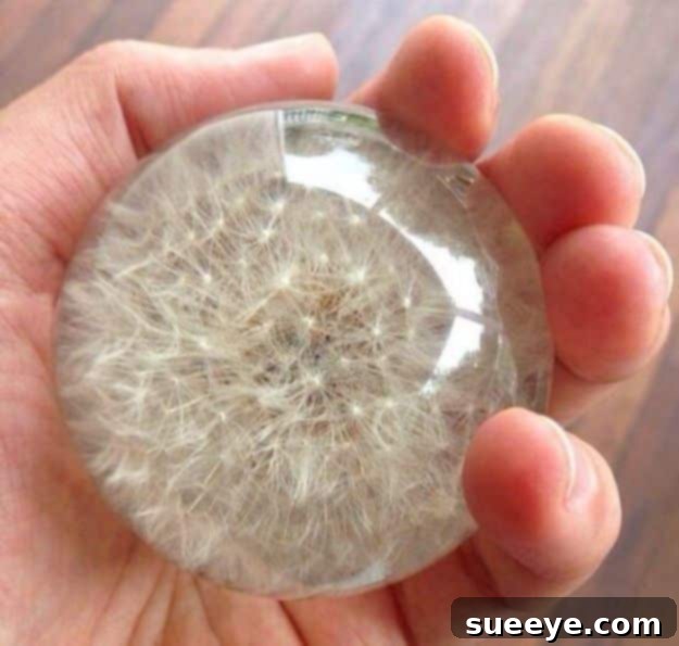 Preserve Dandelion In Resin Delicate dandelion preserved in crystal-clear resin, creating a magical and timeless botanical art piece or paperweight.