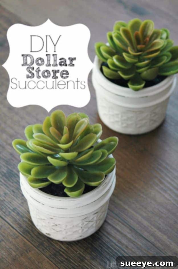 Quick and easy succulent arrangement using Dollar Tree plants and pots