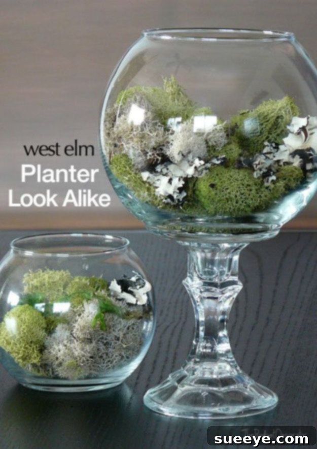 DIY Dollar Store Terrarium DIY modern terrarium made from Dollar Tree glass items