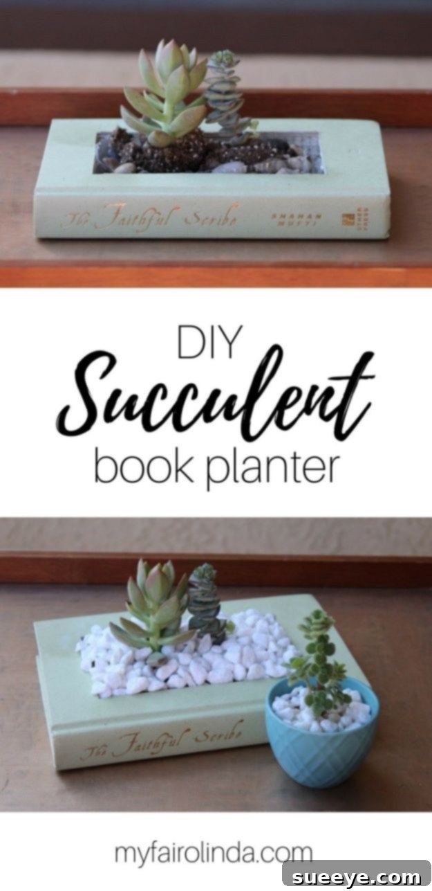 DIY Succulent Book Planter - Quirky Plant Gift DIY succulent book planter, a unique gift for book and plant lovers