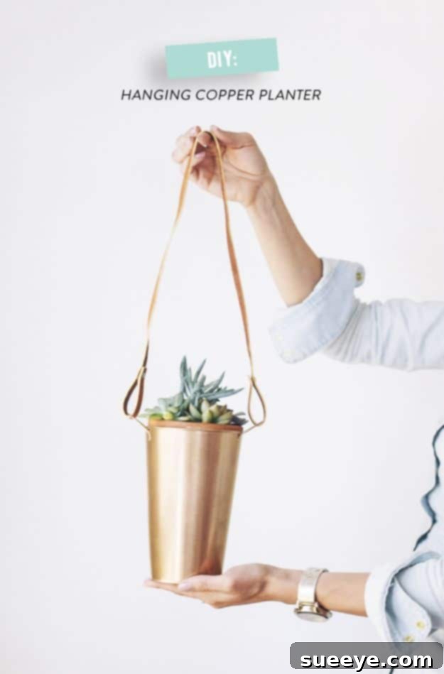 DIY Copper Hanging Plants - Chic Plant Decor DIY copper hanging plants, a modern and elegant way to display greenery