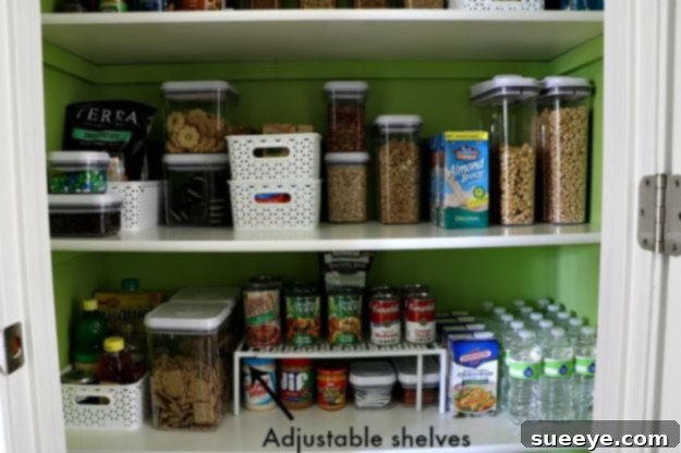 Customizable Adjustable Shelving A sleek pantry design utilizing fully adjustable shelves to perfectly accommodate items of varying heights, maximizing storage potential.