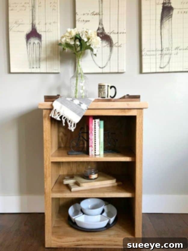 Simple and Easy DIY Bookshelf for Beginner Woodworking Projects
