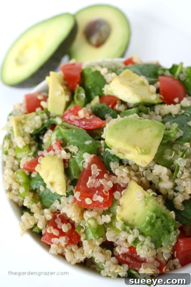 Quinoa Recipes - Quinoa Avocado Spinach Power Salad - Easy Salads, Side Dishes and Healthy Recipe Ideas Made With Quinoa - Vegetable and Grain To Serve For Lunch, Dinner and Snack Quinoa Recipes - Quinoa Avocado Spinach Power Salad - Easy Salads, Side Dishes and Healthy Recipe Ideas Made With Quinoa - Vegetable and Grain To Serve For Lunch, Dinner and Snack