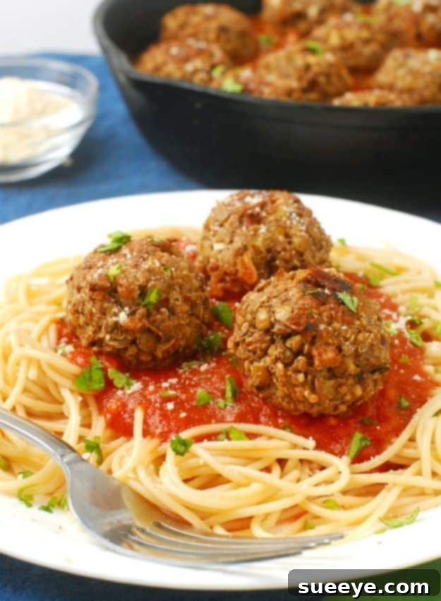 Quinoa Recipes - Vegetarian Lentil Quinoa Meatballs - Easy Salads, Side Dishes and Healthy Recipe Ideas Made With Quinoa - Vegetable and Grain To Serve For Lunch, Dinner and Snack Quinoa Recipes - Vegetarian Lentil Quinoa Meatballs - Easy Salads, Side Dishes and Healthy Recipe Ideas Made With Quinoa - Vegetable and Grain To Serve For Lunch, Dinner and Snack