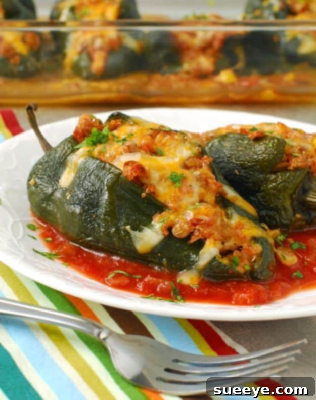 Quinoa Recipes - Vegetarian Quinoa Stuffed Poblano Peppers - Easy Salads, Side Dishes and Healthy Recipe Ideas Made With Quinoa - Vegetable and Grain To Serve For Lunch, Dinner and Snack Quinoa Recipes - Vegetarian Quinoa Stuffed Poblano Peppers - Easy Salads, Side Dishes and Healthy Recipe Ideas Made With Quinoa - Vegetable and Grain To Serve For Lunch, Dinner and Snack