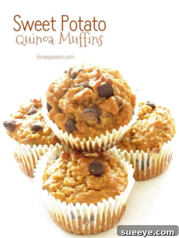 Quinoa Recipes - Sweet Potato Quinoa Muffins - Easy Salads, Side Dishes and Healthy Recipe Ideas Made With Quinoa - Vegetable and Grain To Serve For Lunch, Dinner and Snack Quinoa Recipes - Sweet Potato Quinoa Muffins - Easy Salads, Side Dishes and Healthy Recipe Ideas Made With Quinoa - Vegetable and Grain To Serve For Lunch, Dinner and Snack