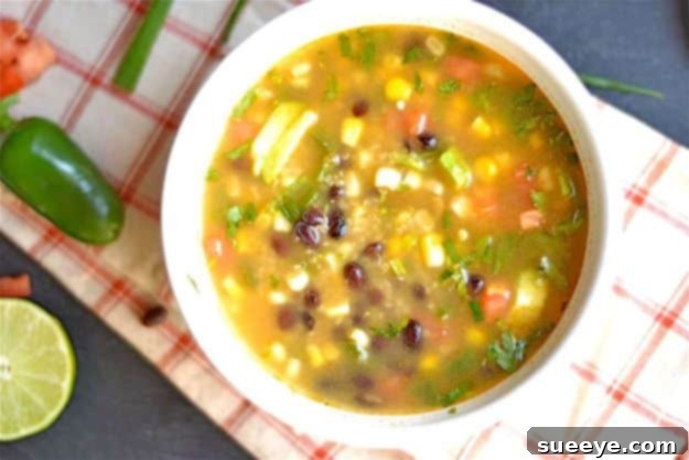 Quinoa Recipes - Mexican Black Bean Quinoa Soup - Easy Salads, Side Dishes and Healthy Recipe Ideas Made With Quinoa - Vegetable and Grain To Serve For Lunch, Dinner and Snack Quinoa Recipes - Mexican Black Bean Quinoa Soup - Easy Salads, Side Dishes and Healthy Recipe Ideas Made With Quinoa - Vegetable and Grain To Serve For Lunch, Dinner and Snack