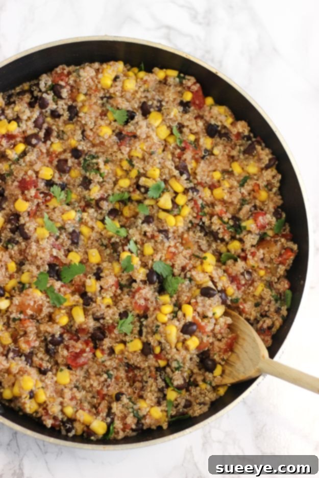 Quinoa Recipes - One Pan Mexican Quinoa - Easy Salads, Side Dishes and Healthy Recipe Ideas Made With Quinoa - Vegetable and Grain To Serve For Lunch, Dinner and Snack Quinoa Recipes - One Pan Mexican Quinoa - Easy Salads, Side Dishes and Healthy Recipe Ideas Made With Quinoa - Vegetable and Grain To Serve For Lunch, Dinner and Snack